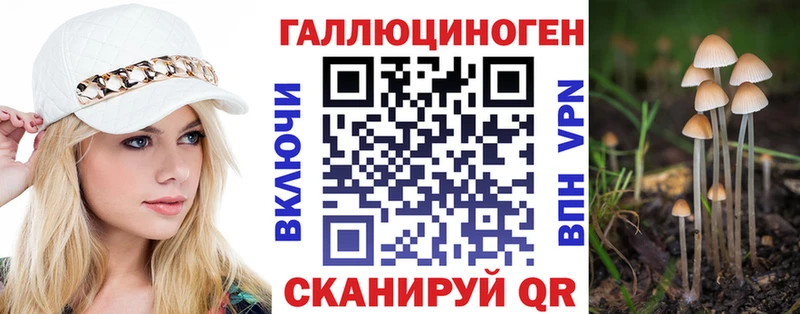 где продают   Дно  Псилоцибиновые грибы мицелий 